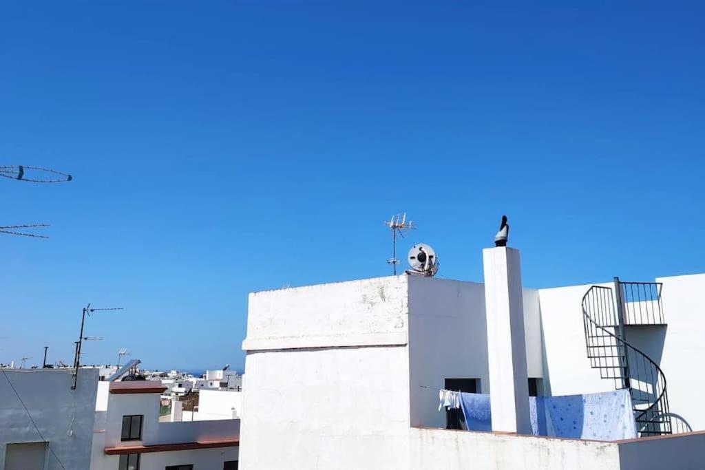 Espectacular Casa Muy Luminosa Con Azotea Apartamento Conil De La Frontera Exterior foto